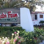 AlligatorFarm